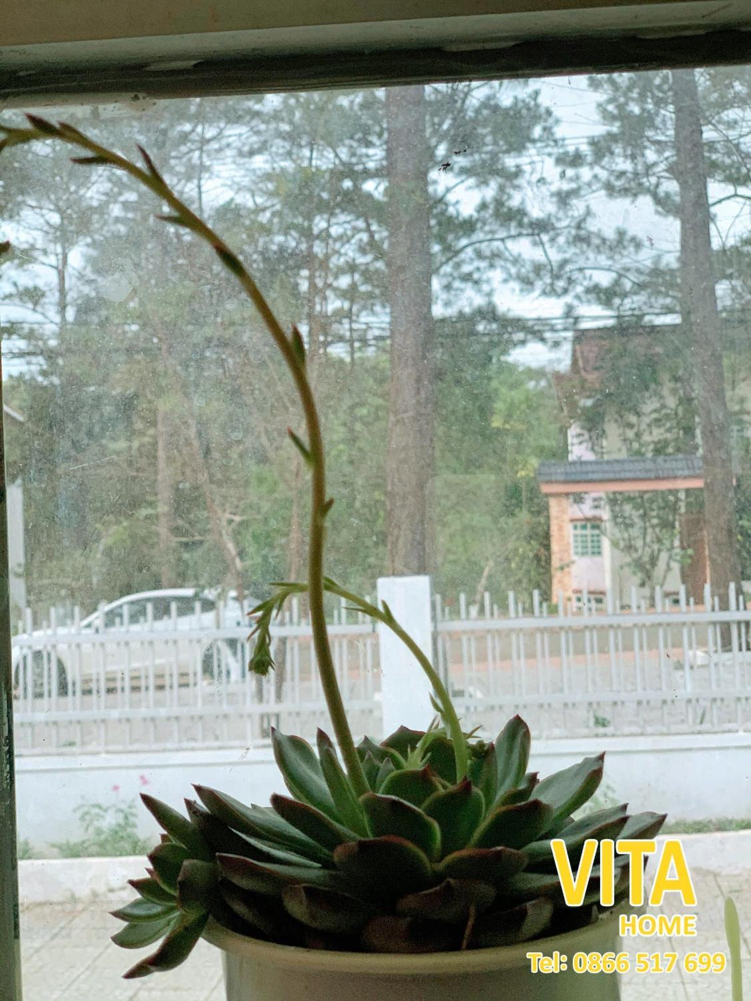Vita Homestay Mang Den Kon Von Kla Exterior foto