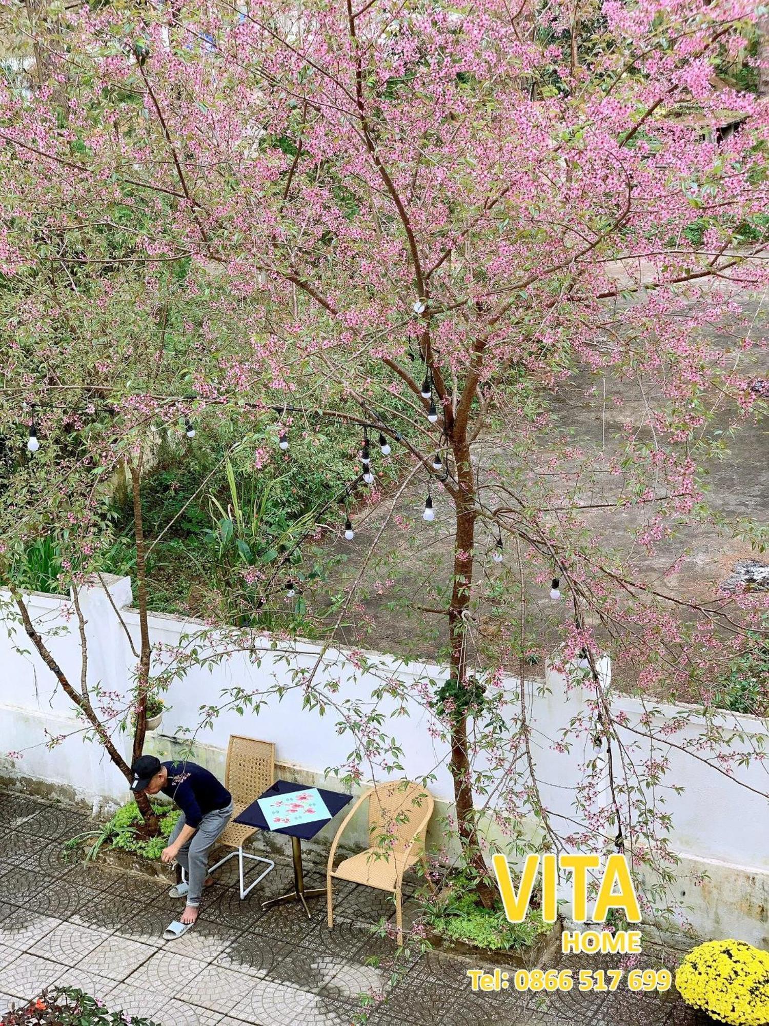 Vita Homestay Mang Den Kon Von Kla Exterior foto